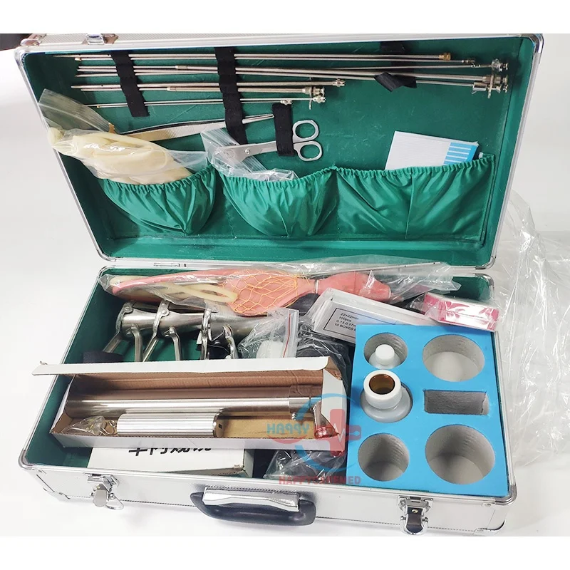 HC-R085 Veterinary Portable AI Kits Cattle Cow Sheep Big Animal Goat Pig Artificial Insemination gun Equipment Box for cattle