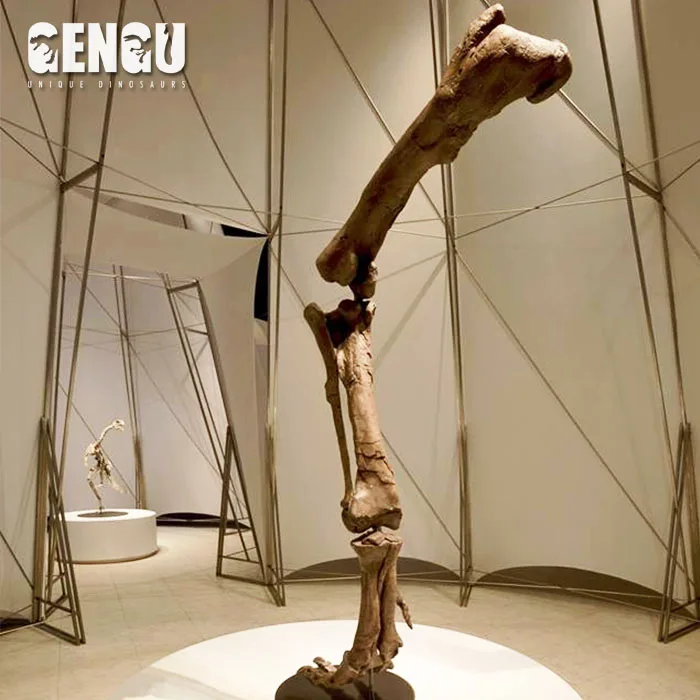 fiberglass fish fossils replicas