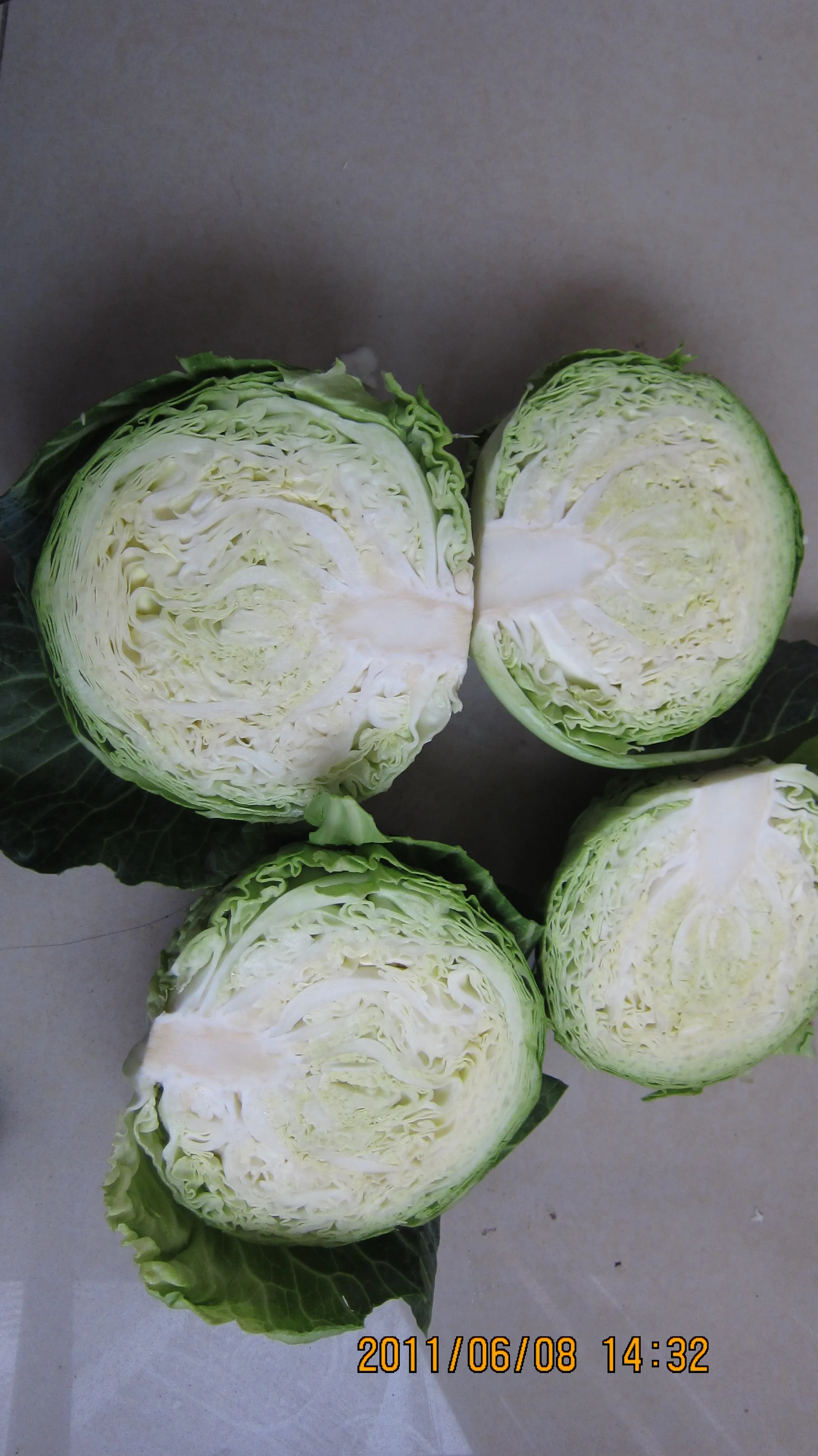 
chinese small cabbage 