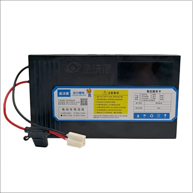 
Customized 48 Volt 36v 11.6ah Electric Bike Lithium Battery Pack 