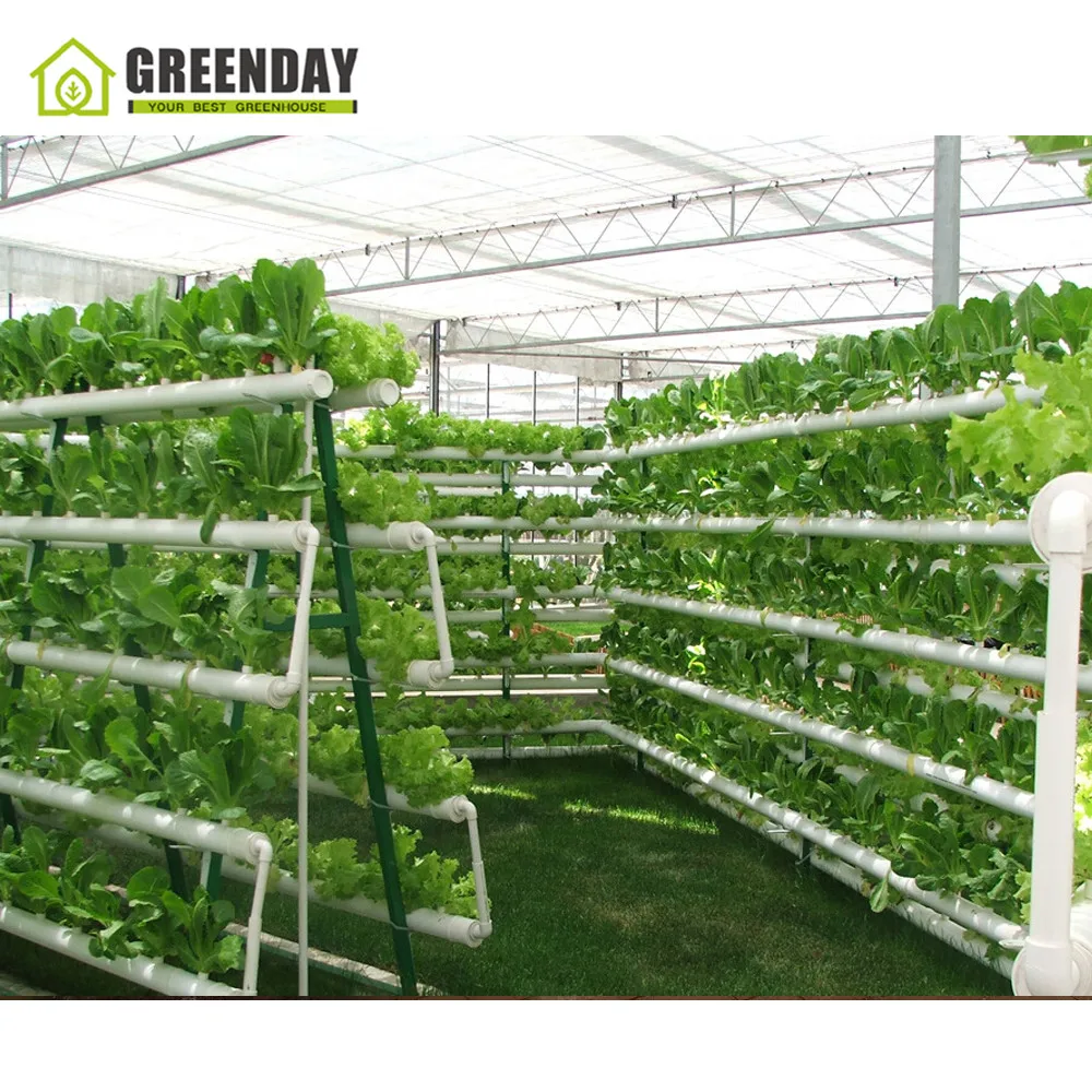 
GREENDAY Chinese morden plastic multi span greenhouse with irrigation system 