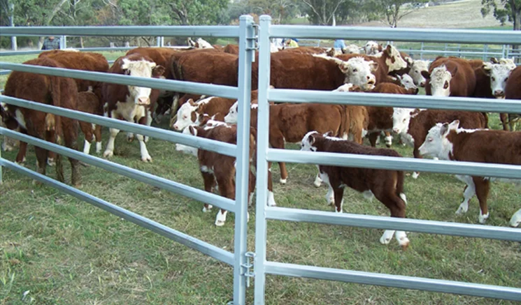 Galvanized good quality cattle farm yard cattle equipment cattle panels fence