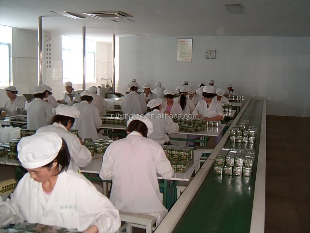 European Standard gunpowder green tea 3505 AA  from tea factory