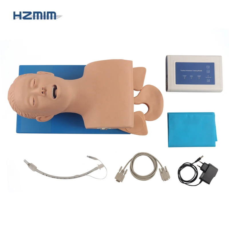Adult Airway Trachea Intubation Model Adult Airway Intubation Manikin Endotracheal Intubation Training Model