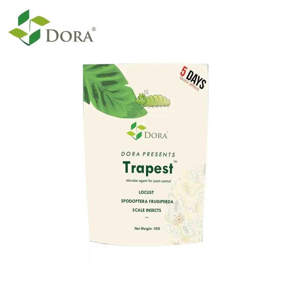 Как контролировать Spodoptera Frugiperda в силу