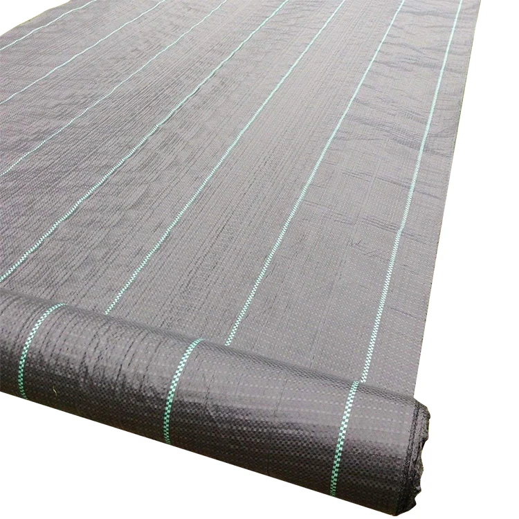 Agricultural Black Plastic Ground Cover / pp weed mat / prevent weed cloth with different sizes