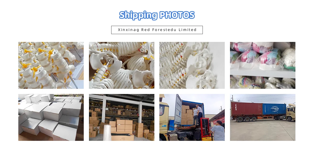 Company information-4.png