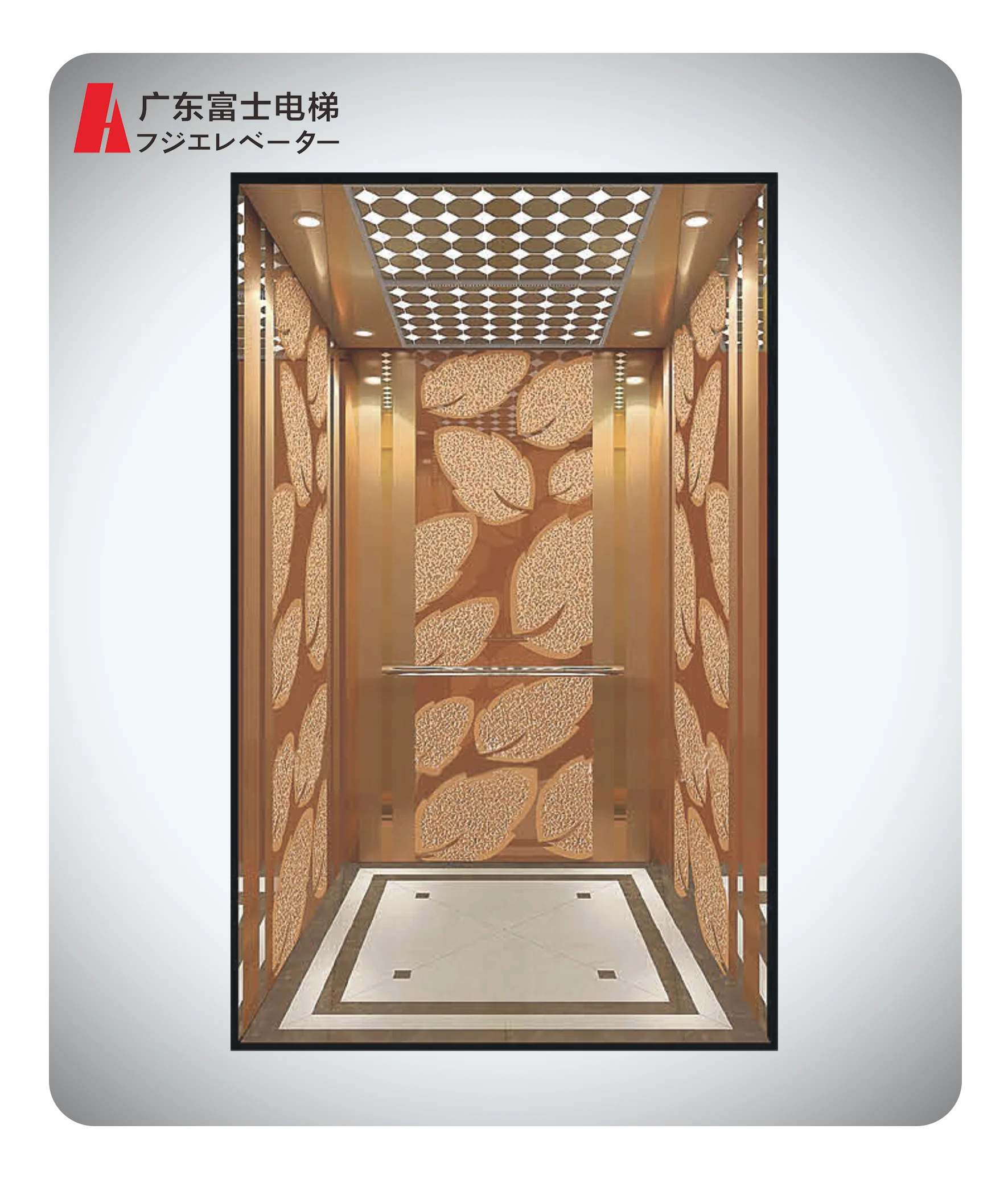 FJ-ML-001 High Quality Office Building Home Used Elevator Lift Passenger