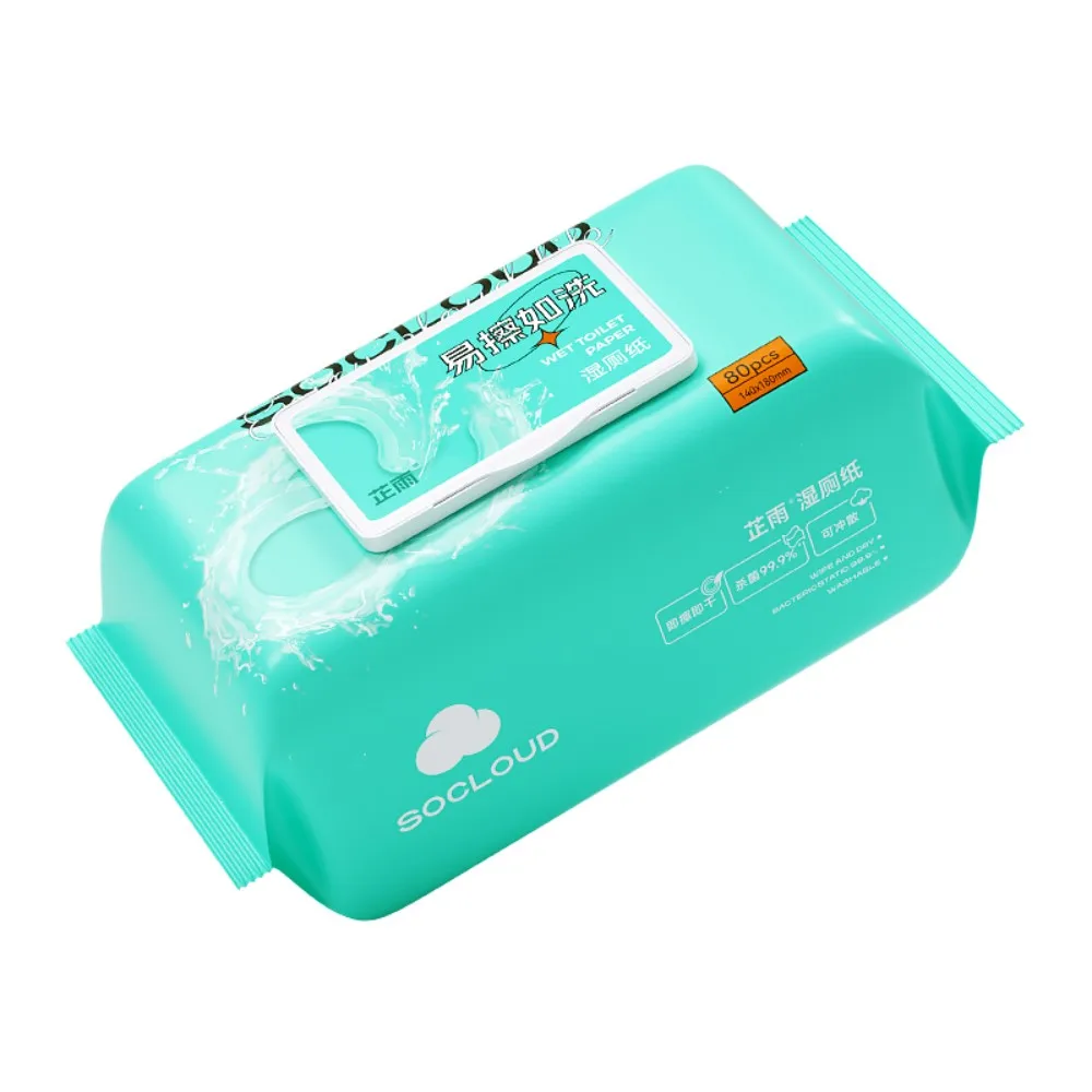 Wholesale Natural Organic 100% Biodegradable Unscented Disposable Toilet Cleaning Wipes Adult Flushable Wet Wipes