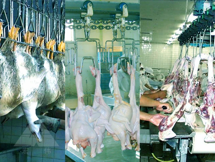 убоя птицы гуся оборудования убоя птицы гусей оборудования