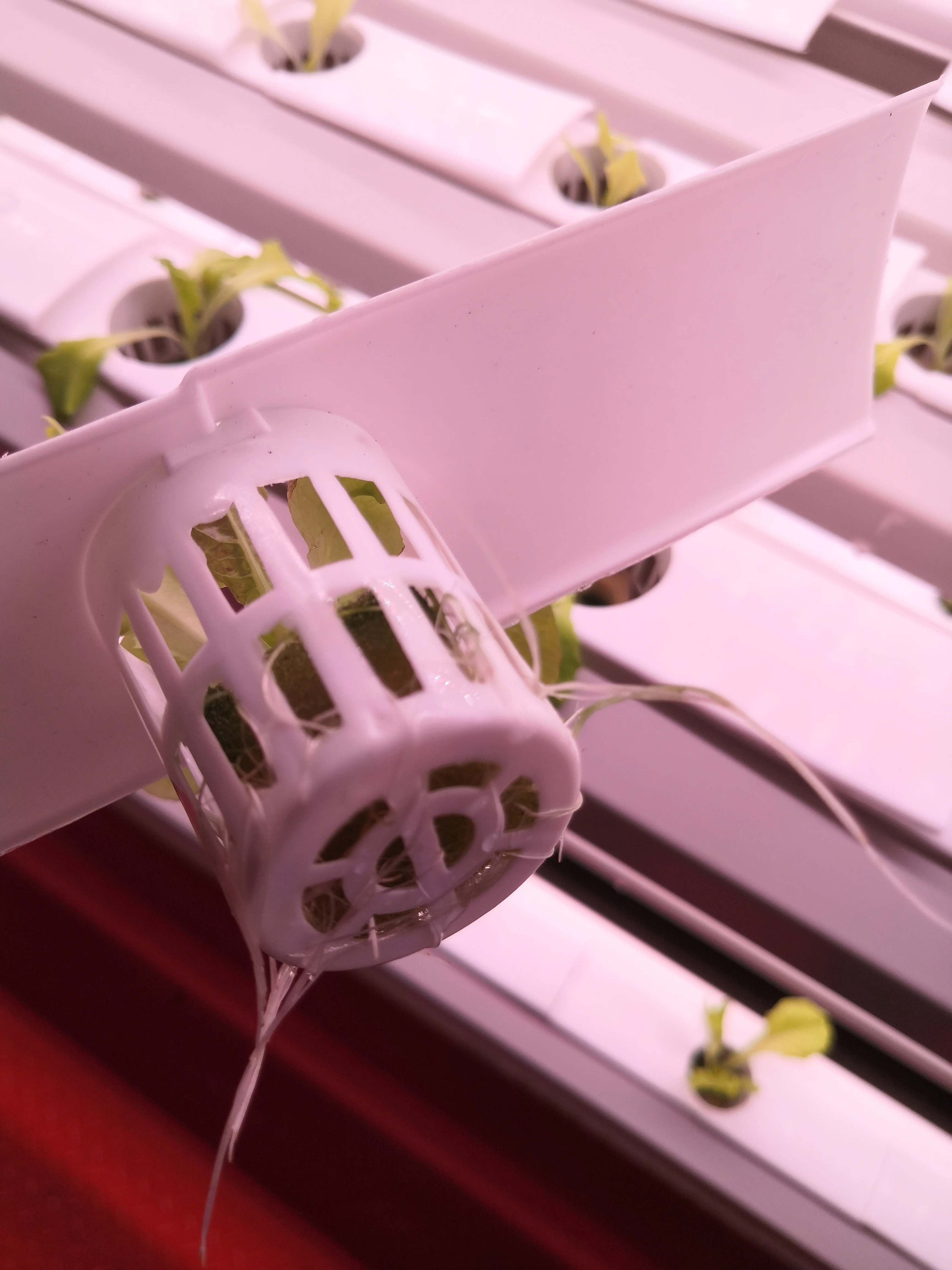 Hot style  Automatic Irrigation Hydroponics System for Vegetables