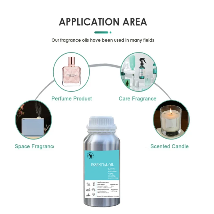 Bulk Room Fragrance Oil Liquid Spray Home Fragrance Oil Distributor Fresh Ocean Scent Air Freshener Room Fragrance