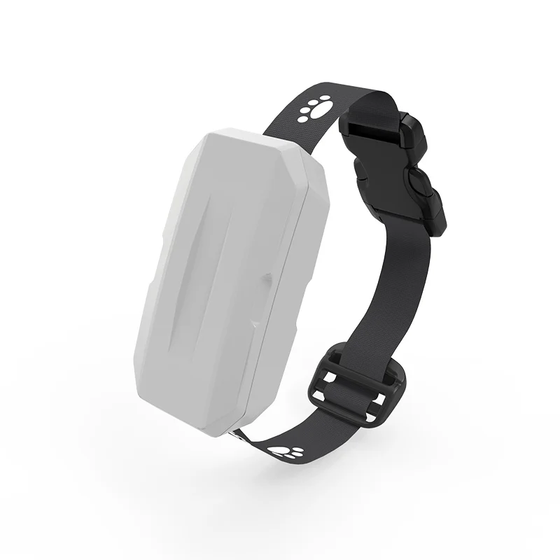 Wholesale GPS/A-GPS/GLONASS/BeiDou/Galileo real time rastreador locking dog 4g gps tracker
