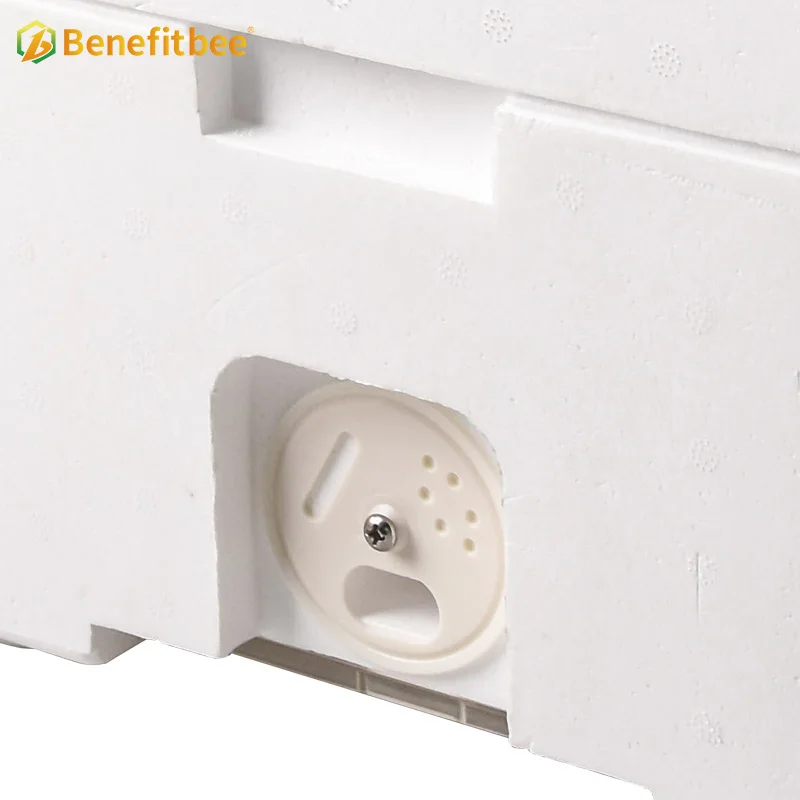 Beekeeping Equipment Plastic Bee Hives Queen Bee Mating Box