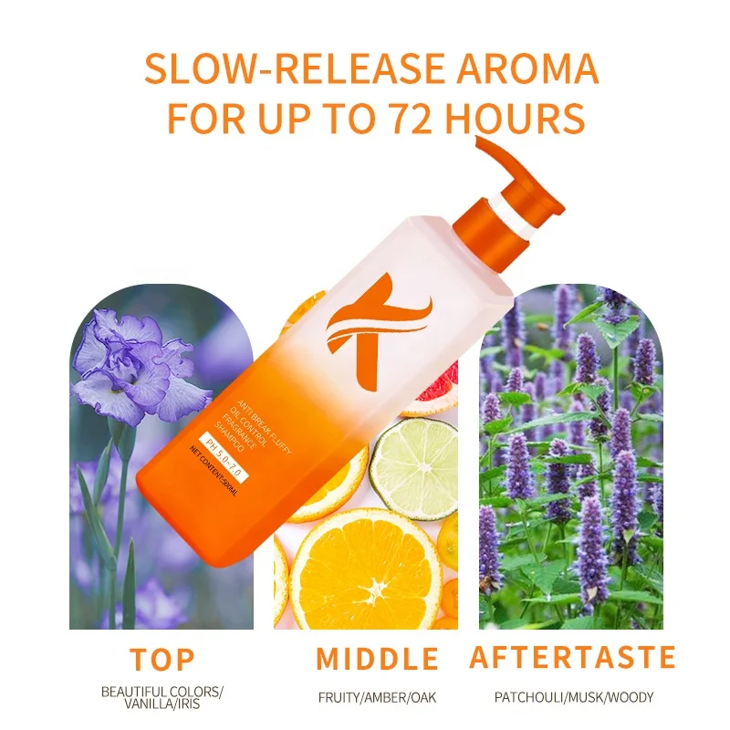 OEM Factory Good Ayurvedic Home Function Herbal Organic All Natural Shampoo Argan Best Oil And Shampoo For Hair Regrowth