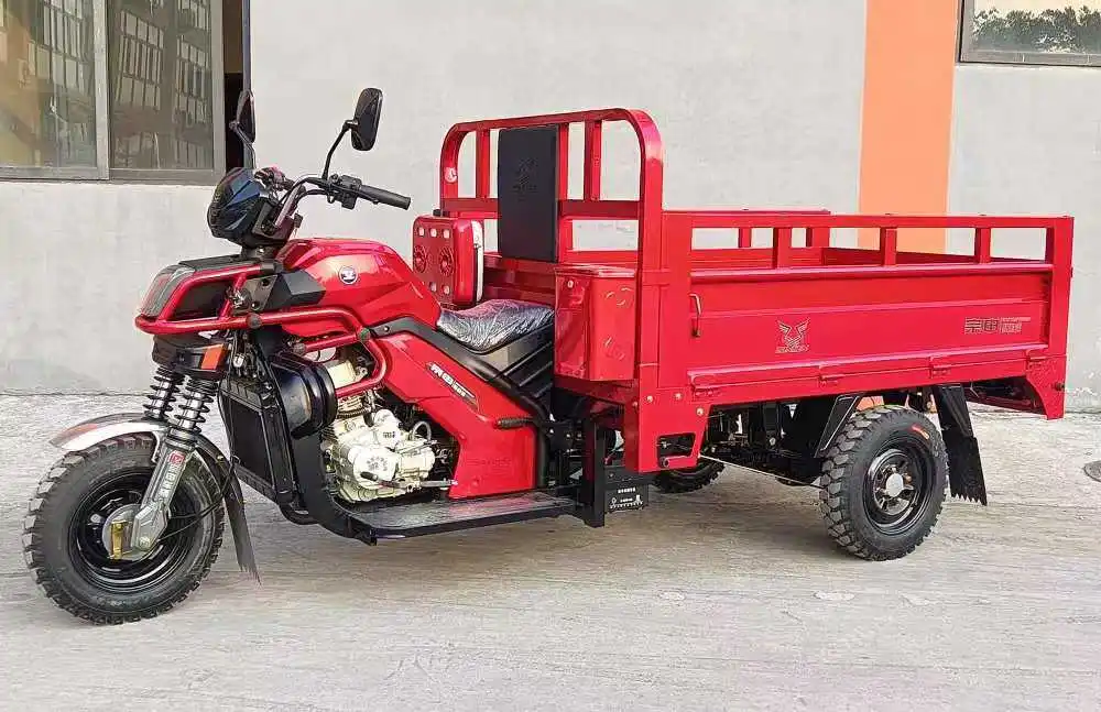 2024 New Style Tricycle Moto Cargo 300cc Wheel Loader Rikshaw Gas Farm Vehicle
