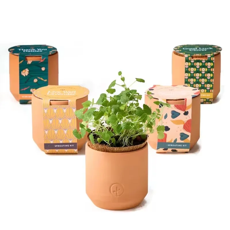 Tiny Terracotta indoor herbs starter kit daisies lavender poppies and clover 4 accept custom diy herb garden growing kit