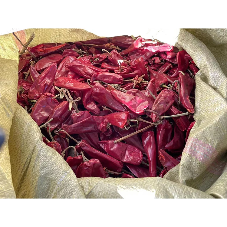 Premium quality little spicy dried yidu chilli 180 200 220asta red chili for sale