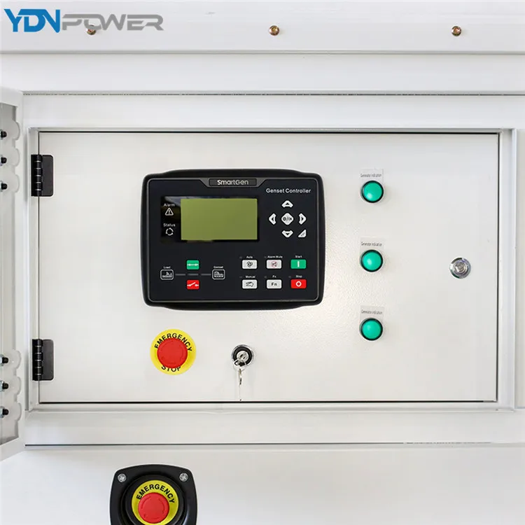 Best Selling Noise Reduction Eeconomical Breeding Use Emergency Generation 300kW Biogas Natural Gas Generator Set