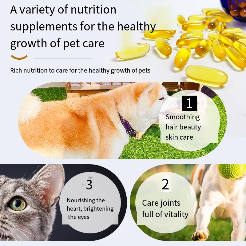 Elevate Pet Nutrition with Phospholipid Fish Oil Delivering Long-lasting for Lustrous Pet Hair Vitamin-coated fish oil capsule