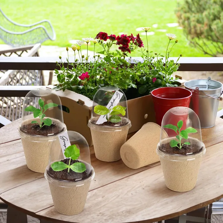 biodegradable paper pulp organic garden pots 3.15 inch for starting flowers vegetable saplings