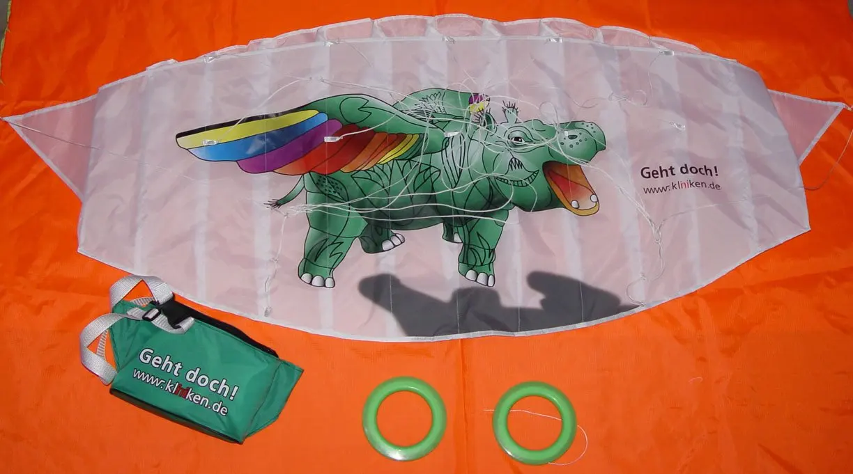 
Rainbow power kite 
