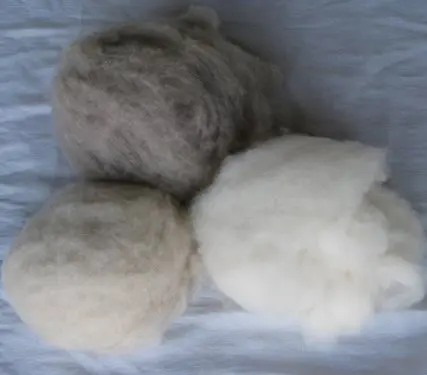 cashmere and wool fiber