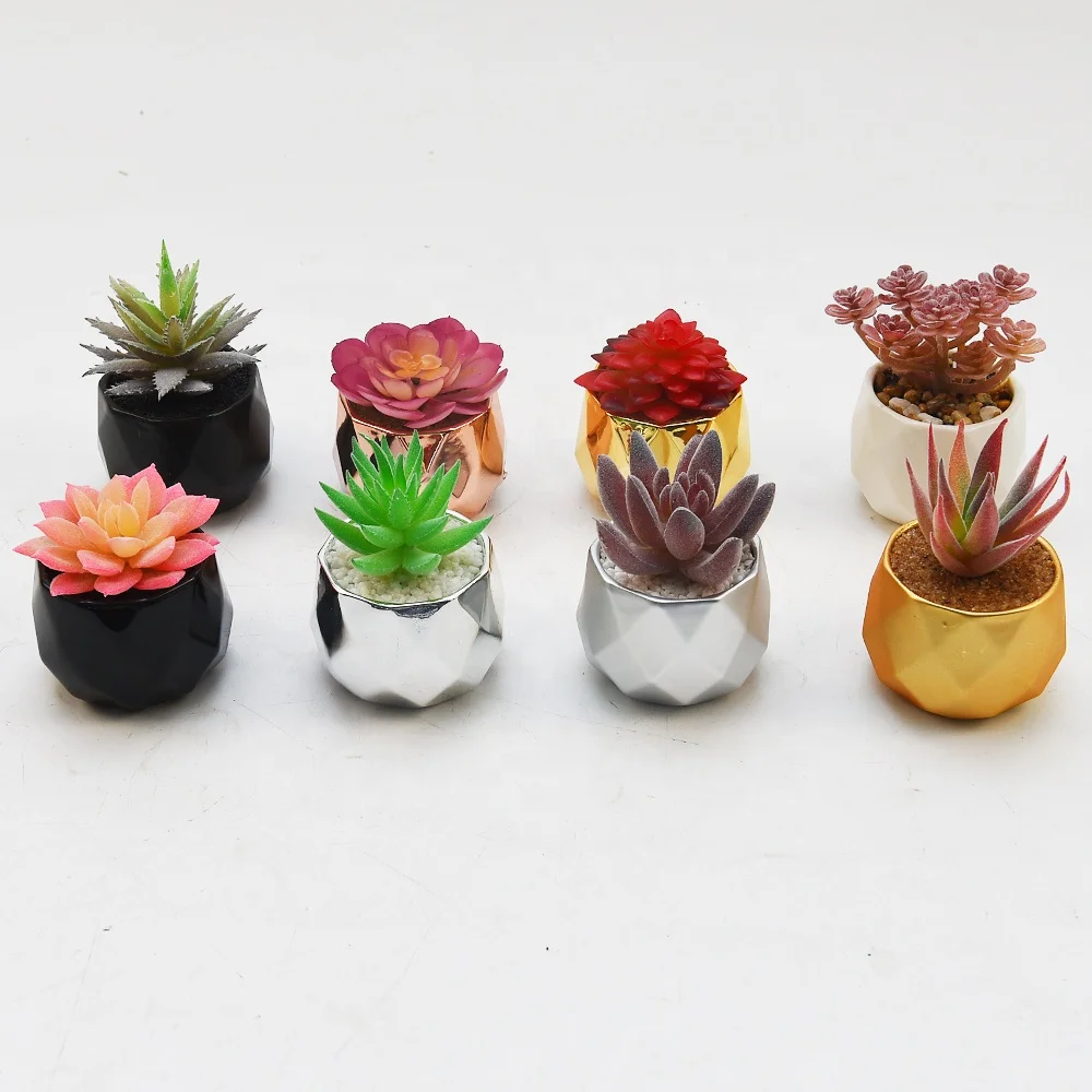 Artificial succulents for indoor tooth shaped succulent pot modern artificial plant decorated plastic flower succulents