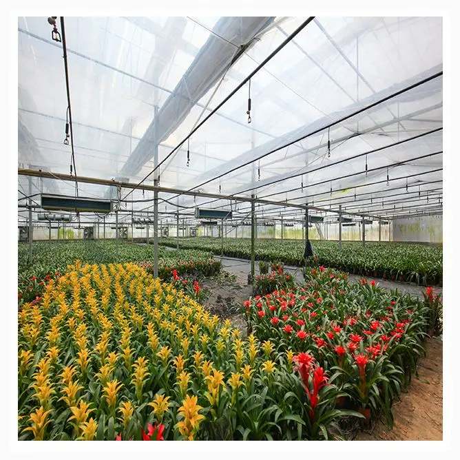 Mushroom greenhouse plastic cover panda film,8 mil black white agricultural film,UV treated 20ft wide poly plastic sheet