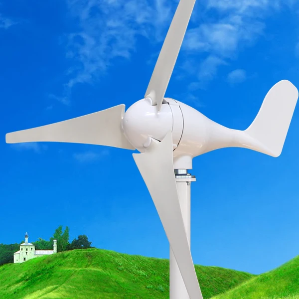 China micro aerogenerator  300w Wind turbine generator Wind mill  for house use 12/24v hot sale