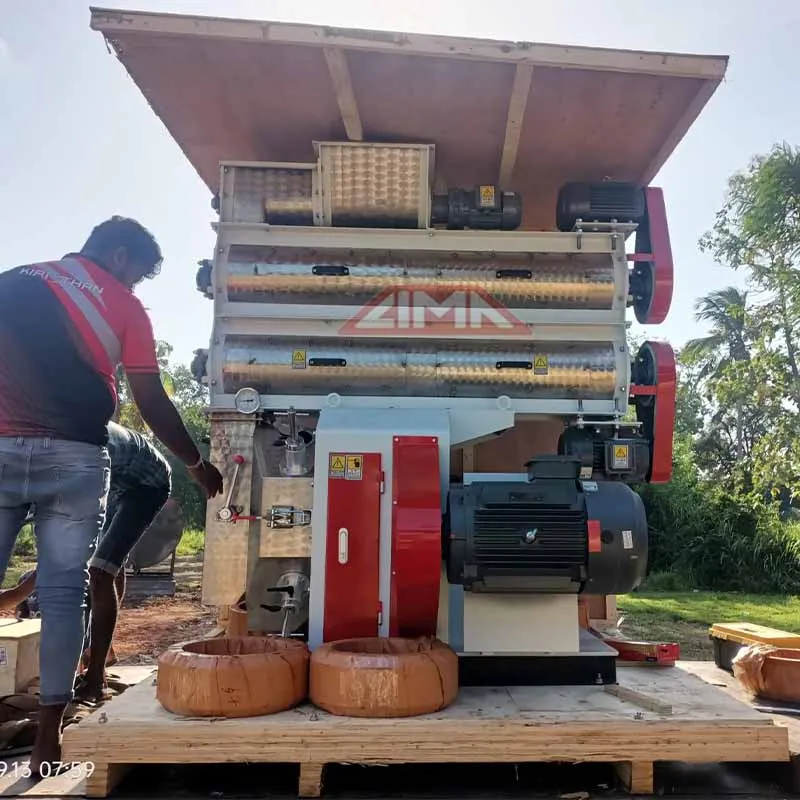 3~4 Ton/H Automatic Animal Feed Production Line Fish/Cat/Dog Food Making Machine Dubai Cattle/Chicken/Pig Poultry Feed Plant