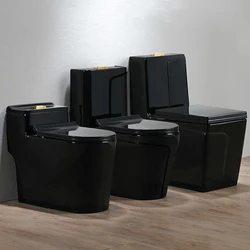 Black color modern bathroom water closet floor wc S trap porcelain toilet bowl set one piece ceramic sanitary ware black toilet