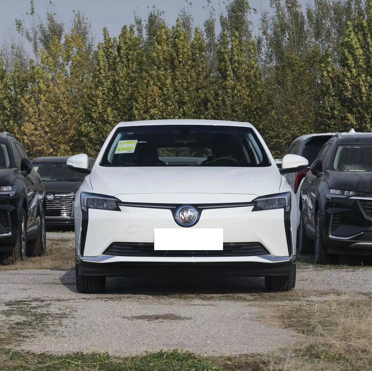 WELITE 6 New Energy Pure Electric Fast Long Range Family Auto Car Newest Version