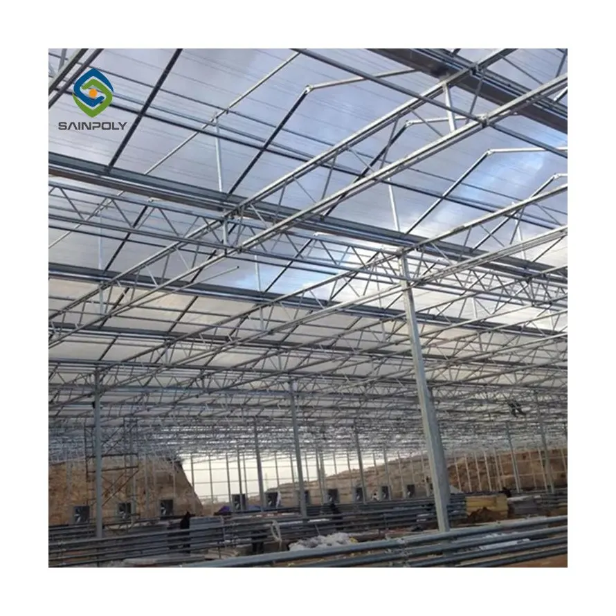 Sainpoly agriculture intelligent greenhouse multi-span PC sheet glass tomato greenhouse with hydroponic growing syste