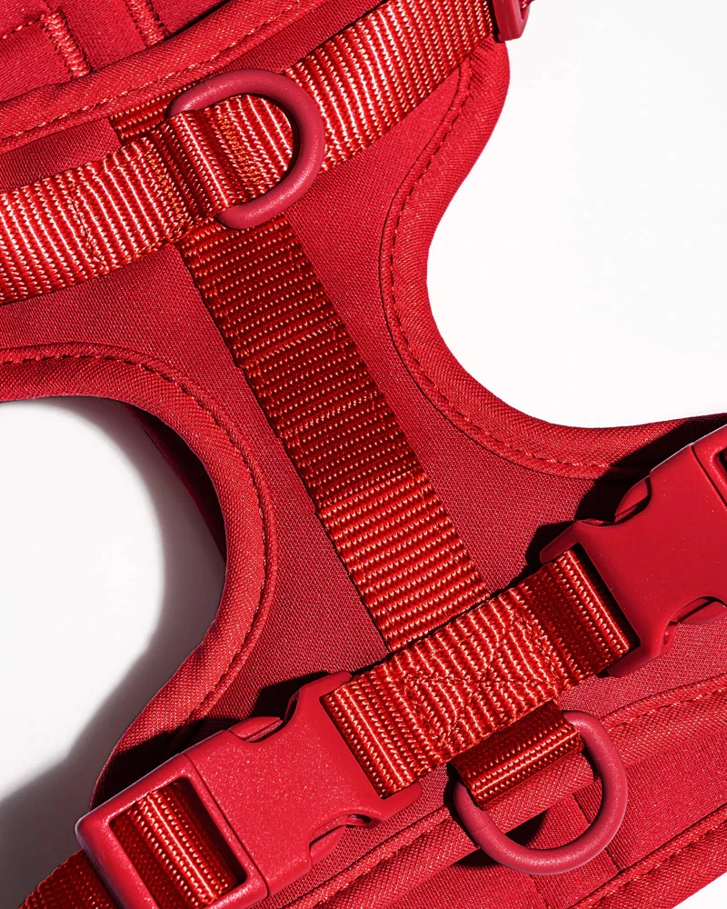 Wholesale custom pvc pet leash collars waterproof soft pvc dog collar and leash harness set