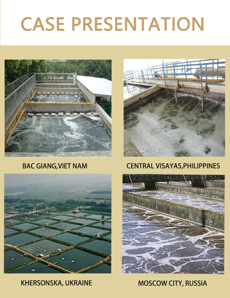 Aeration Tank Biochemical Transformation with Swirl Diffusers Reduce Clogging of Sludge can be Improved Aeration Cartridge
