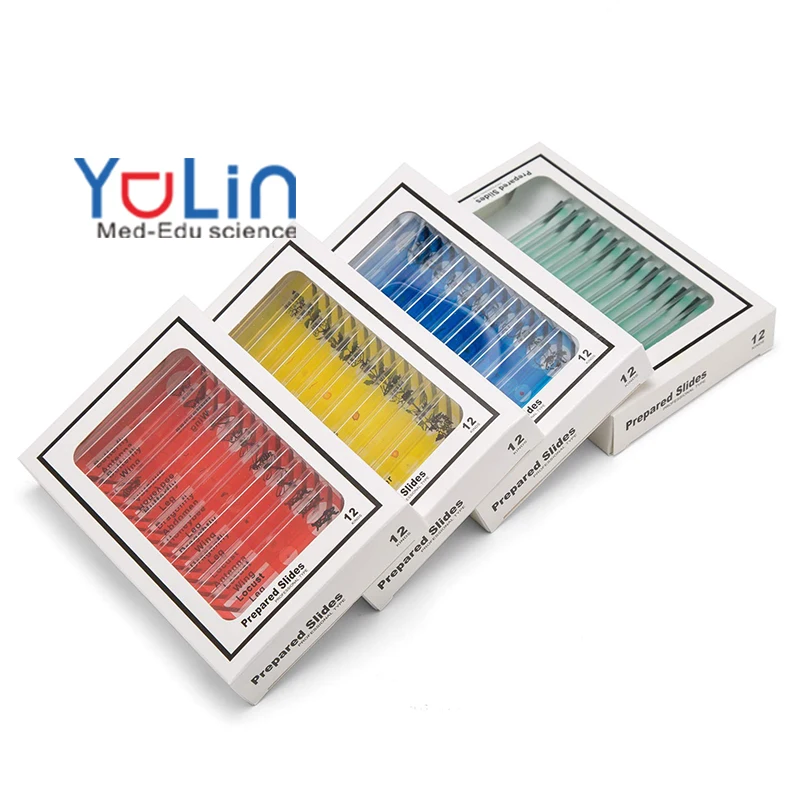 Mix 12 Pieces Plastic Microscope Bio-Preparation Slide Educational Toys Kids Gifts Kids Education