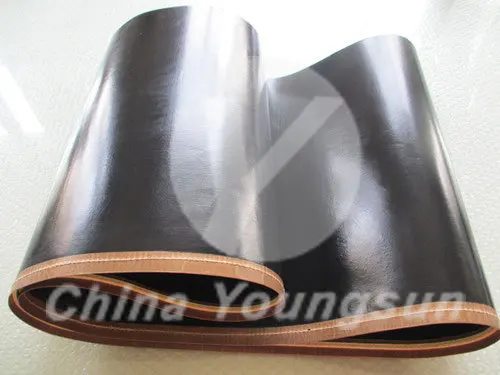 Good quality heat resistant PTFE seamless belt for fusing/Oshima fusing machine belts PTFE belt for Dyeing Printing Machine