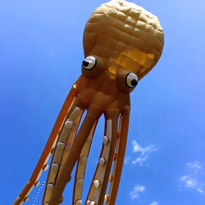 Professional kitesurfing  octopus kite