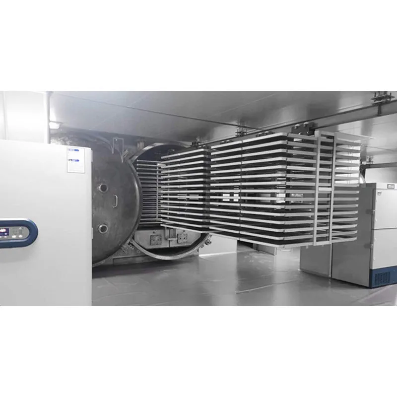 Versatile Multifunctional Lyophilizer For Vegetable And Fruit Industrial Freeze Dryer