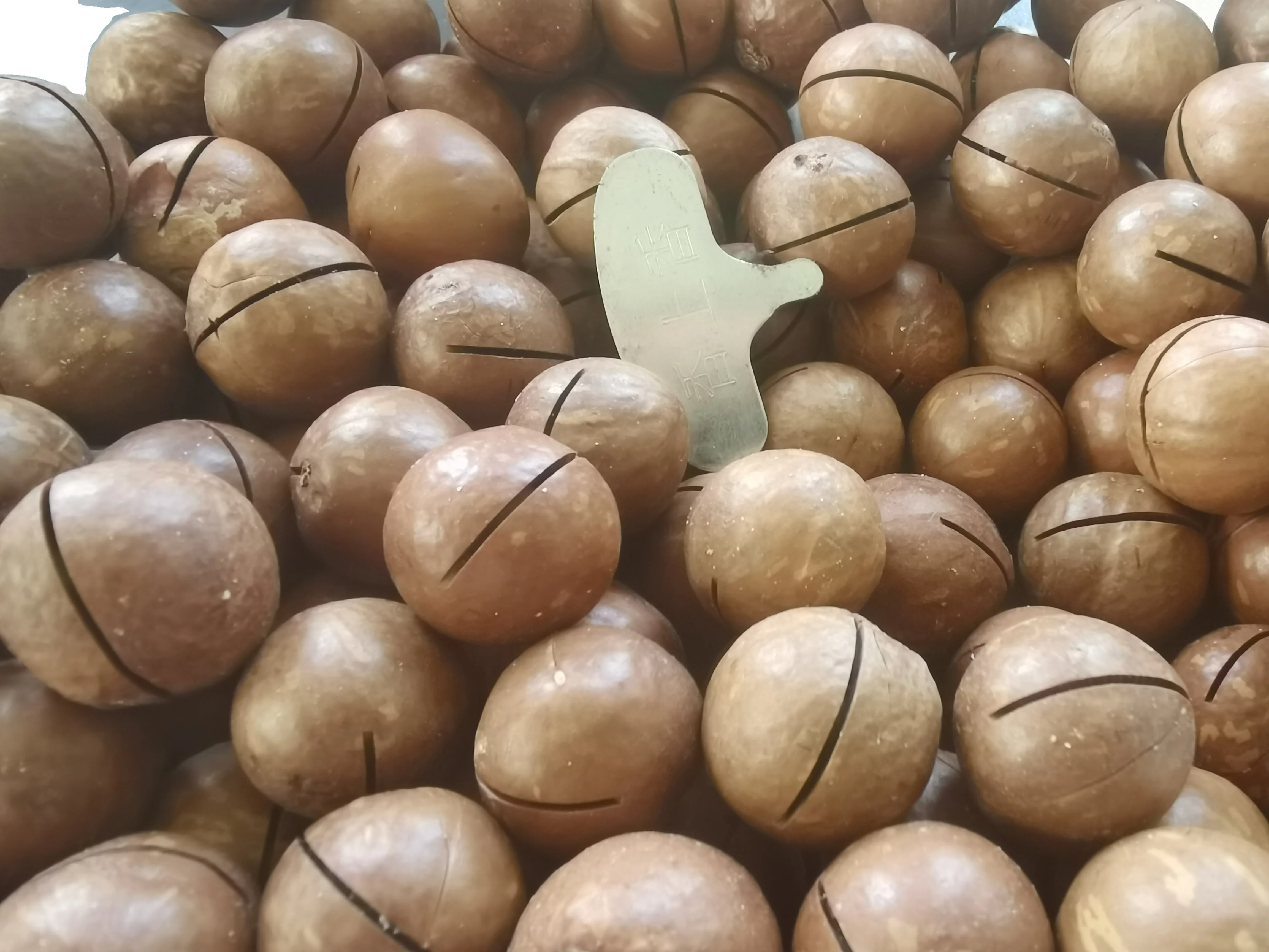 Оригинальный вкус жареные орехи макадамия с скорлупой суперпродукты оптом закуски