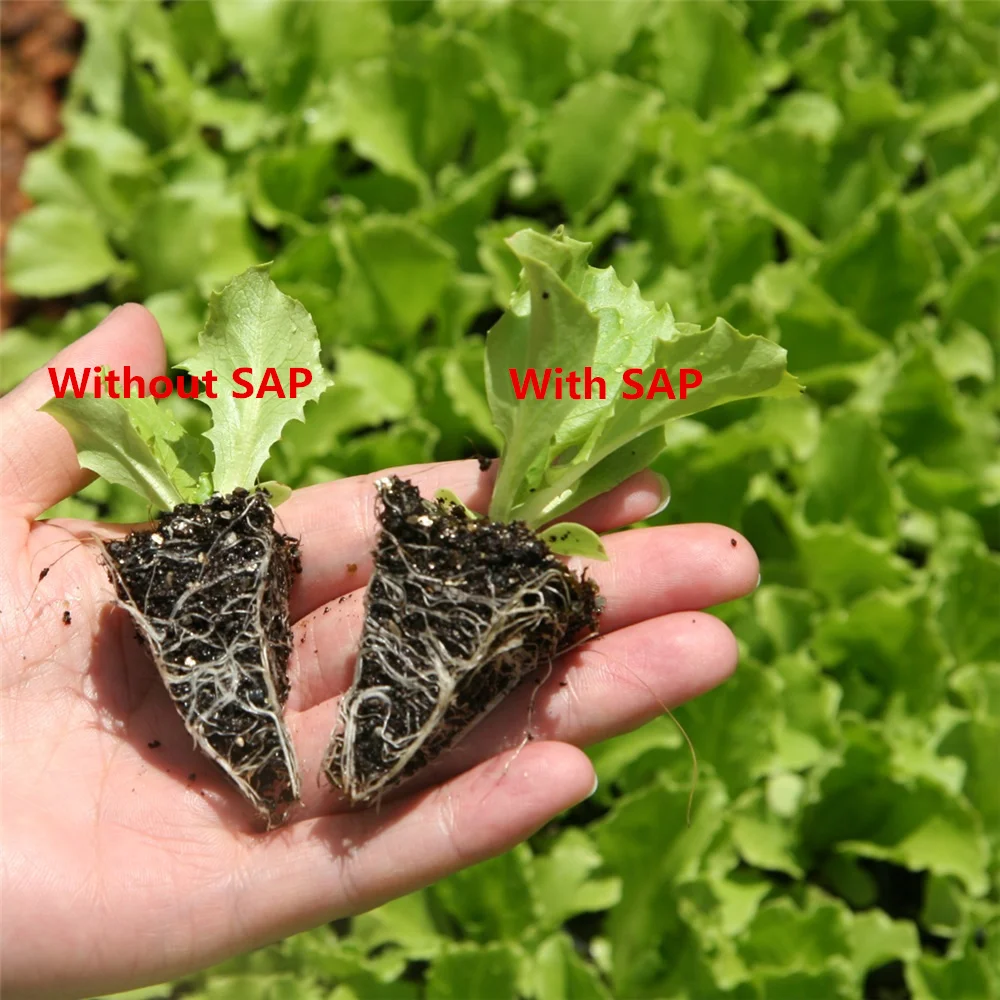 Manufacturer Supply Super Absorbent Polymer Potassium Polyacrylate Sodium Polyacrylate For Improving Moisture Situation