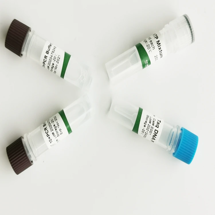 Proper price high product cost-effective sanshibio taq dna polymerase(with mg2+ )