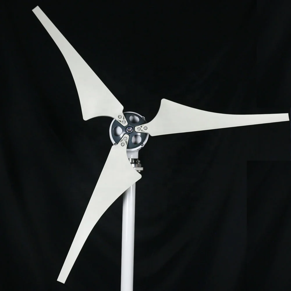 Free Clean Energy 12V/24V/48V 1000W Horizontal Axis Wind Turbine Generator with Factory Direct Sale Price