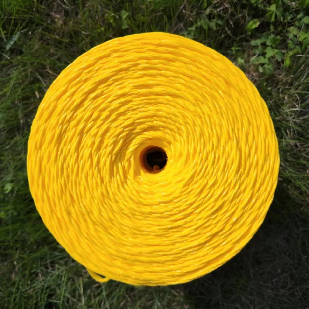 Garden Cucumber Twine for Crawling Plastic Plant Support Climbing
