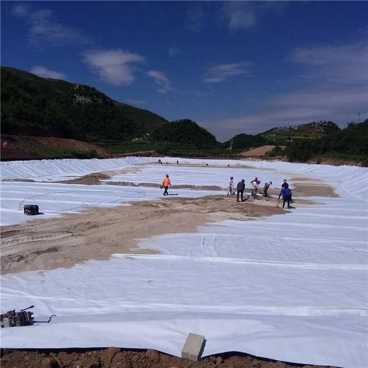 Wholesale price pp geo textile staple fiber nonwoven geotextile drainage fabric 700gsm membrane durable unfading