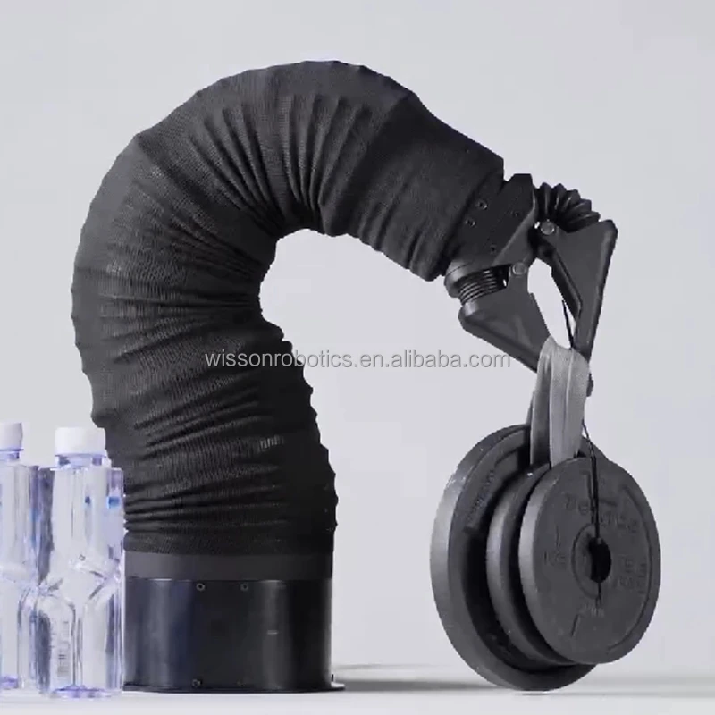 Industrial Robot Handling Flexible Robotic Arm Industrial 6 Axis Robot Arm