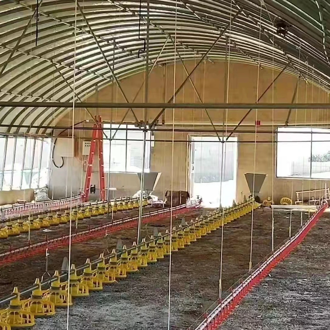 Автоматическое птицефабрика пол повышение курица бройлер заводчик Пан подачи и для того чтобы поить системы