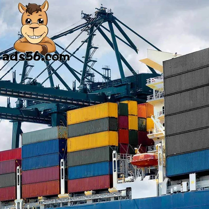 international logistics freight forwarder 40/20ft shipping container price from china guangzhou to usa--WeChat:14776463004