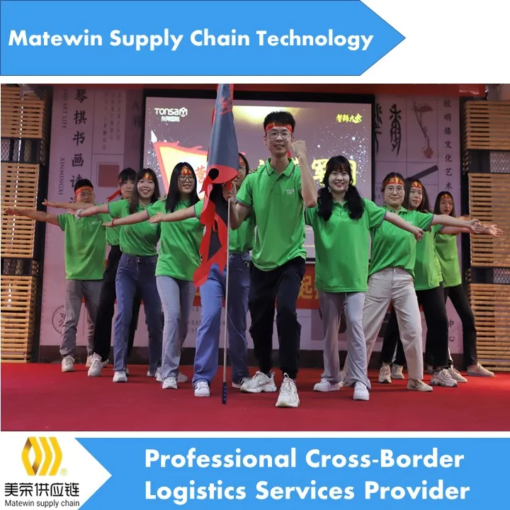 lionzy international logistics services provider china to pakistan freight forwarder china to saudi arabia sourcing agent sea